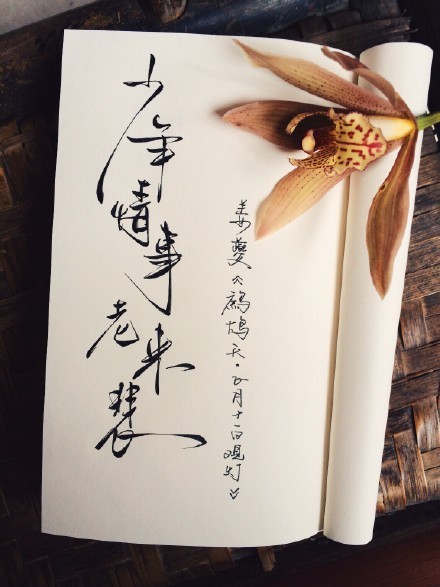 別致新穎的書(shū)法字體，美的很有意境！