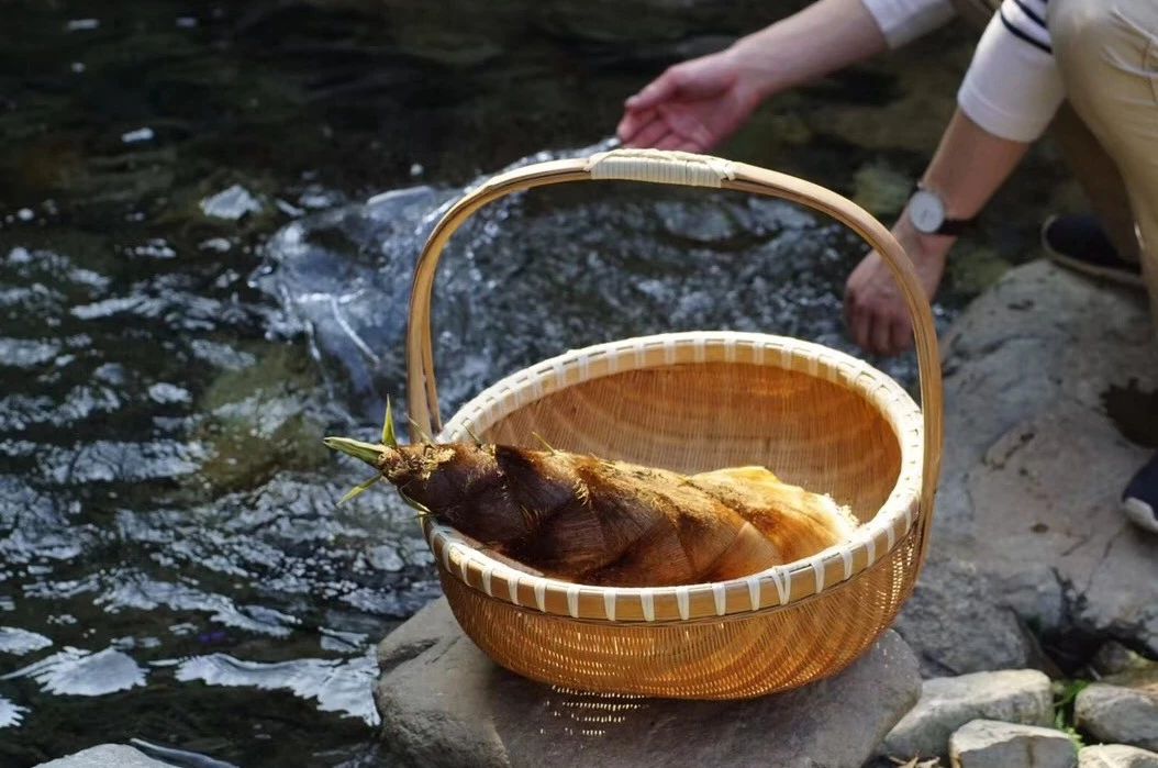 安吉·仁里息心廬，擁泉而居枕山而眠!