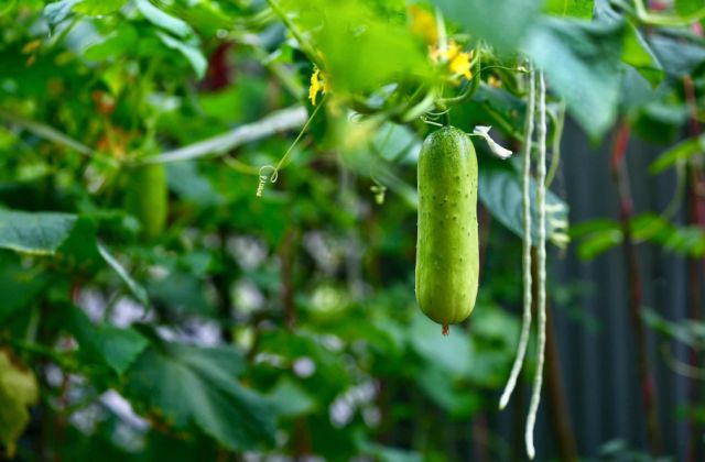 安吉·仁里息心廬，擁泉而居枕山而眠!