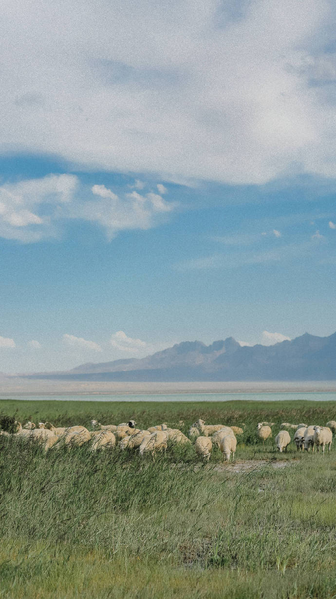 超美路途風(fēng)景攝影圖片，高清風(fēng)景手機(jī)壁紙圖集