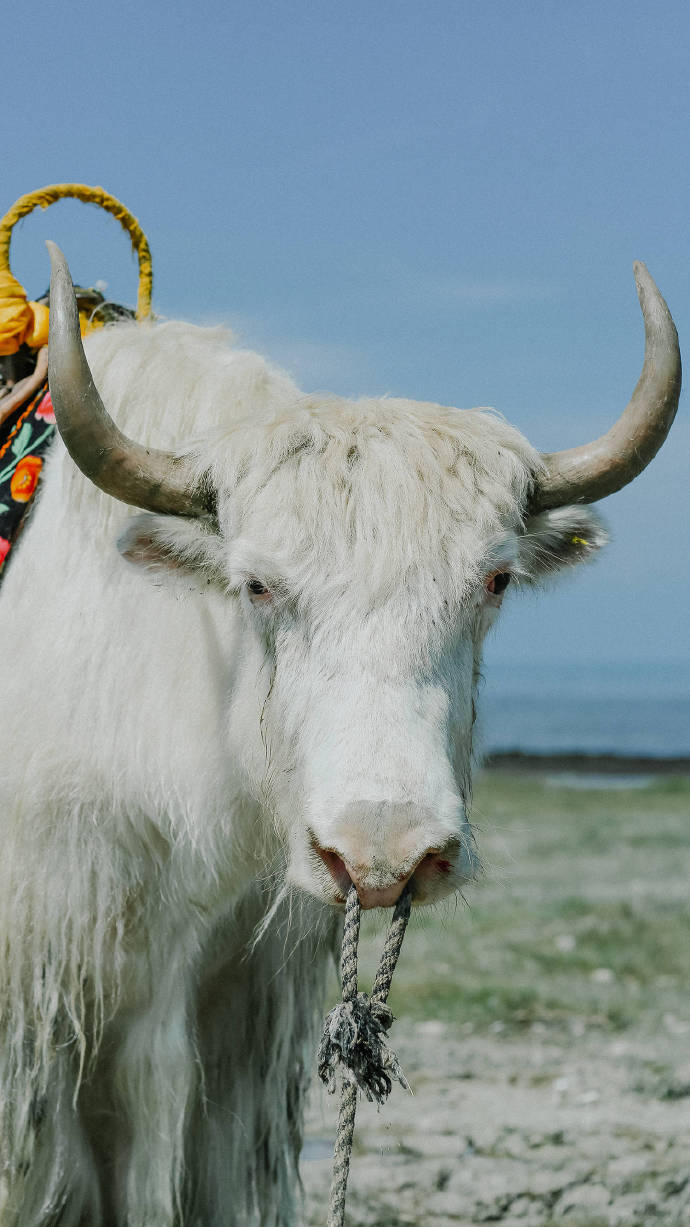 超美路途風(fēng)景攝影圖片，高清風(fēng)景手機(jī)壁紙圖集