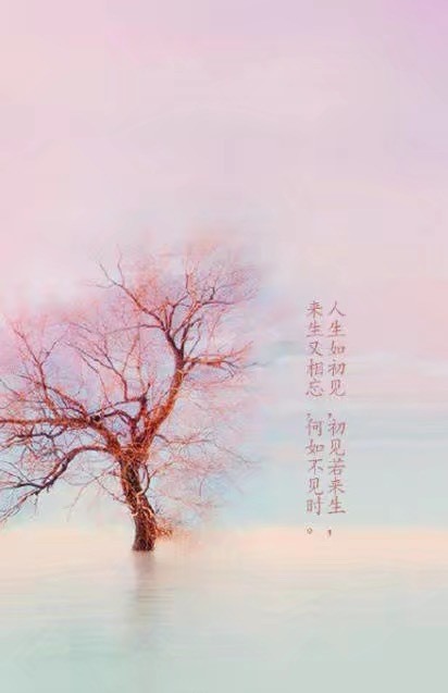 唯美帶文字古風(fēng)圖片，清新有意境古風(fēng)壁紙圖集