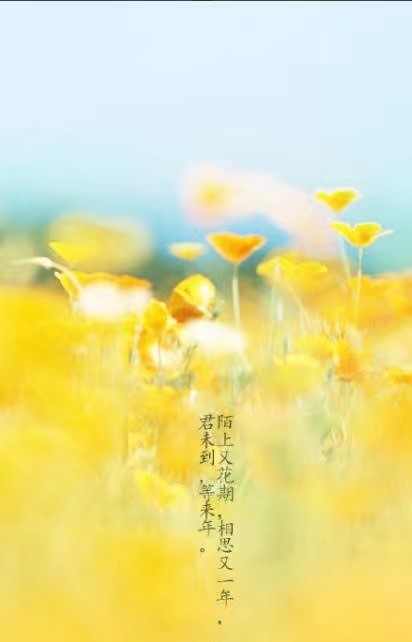 唯美帶文字古風(fēng)圖片，清新有意境古風(fēng)壁紙圖集