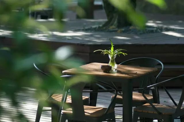 10家徽州最美民宿，領(lǐng)略徽州老宅的氣息