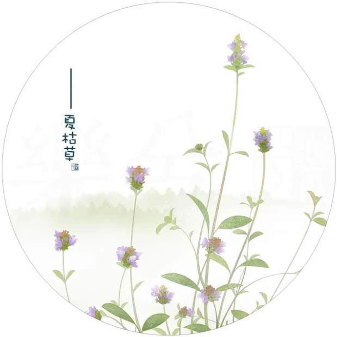 清新植物花卉插畫，可作頭像的插畫圖片