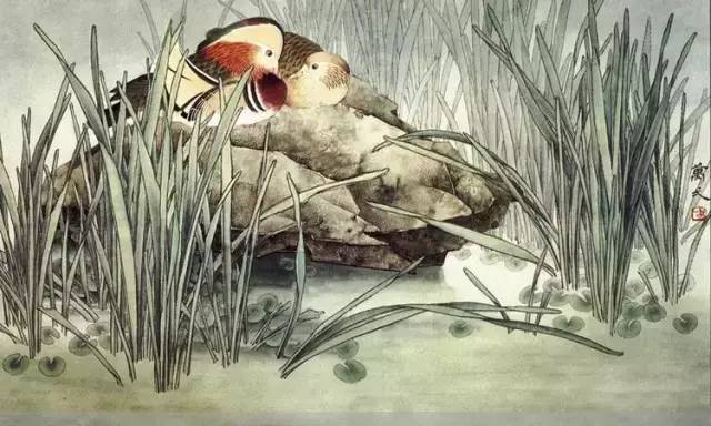 鴛鴦戲水圖集(18張)，好漂亮的國畫圖片