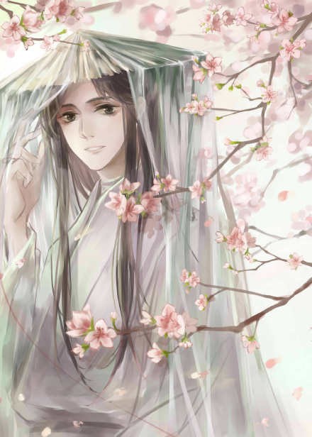 《天官賜福》古風(fēng)圖集(23張），花城好帥呀！