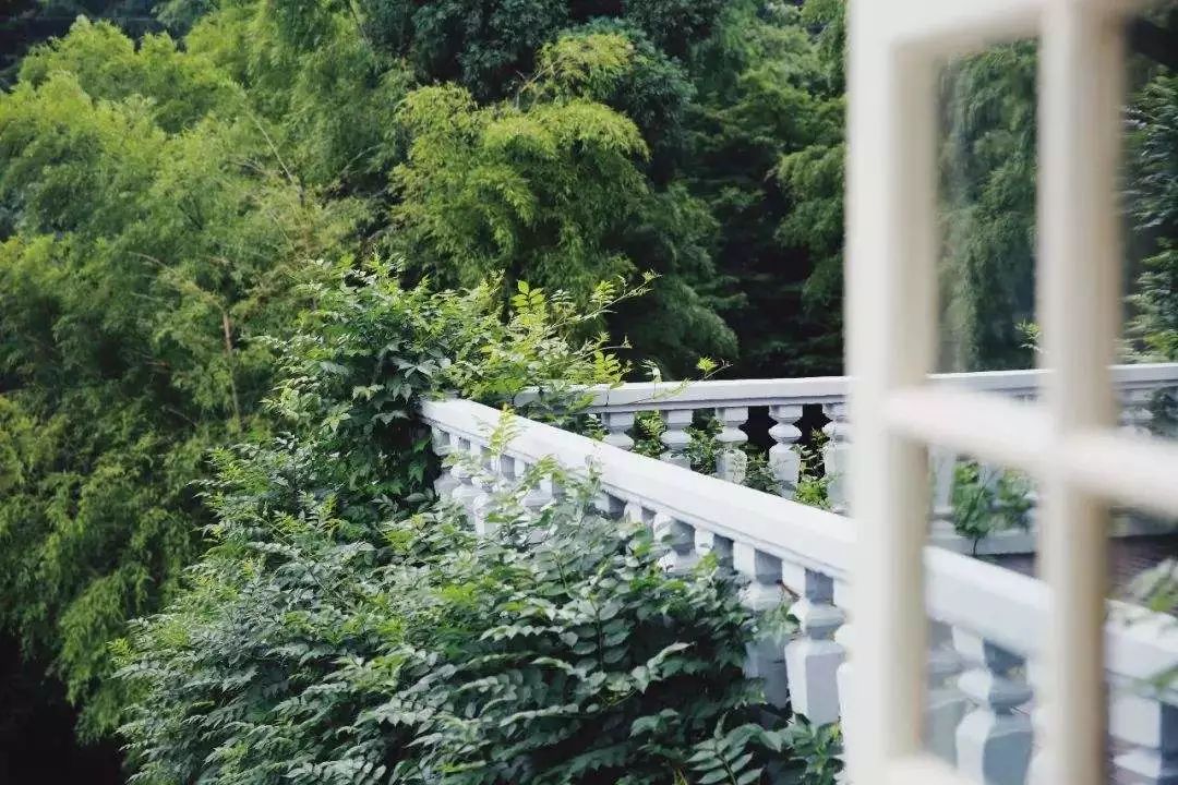 6家莫干山的新民宿，美出新境界