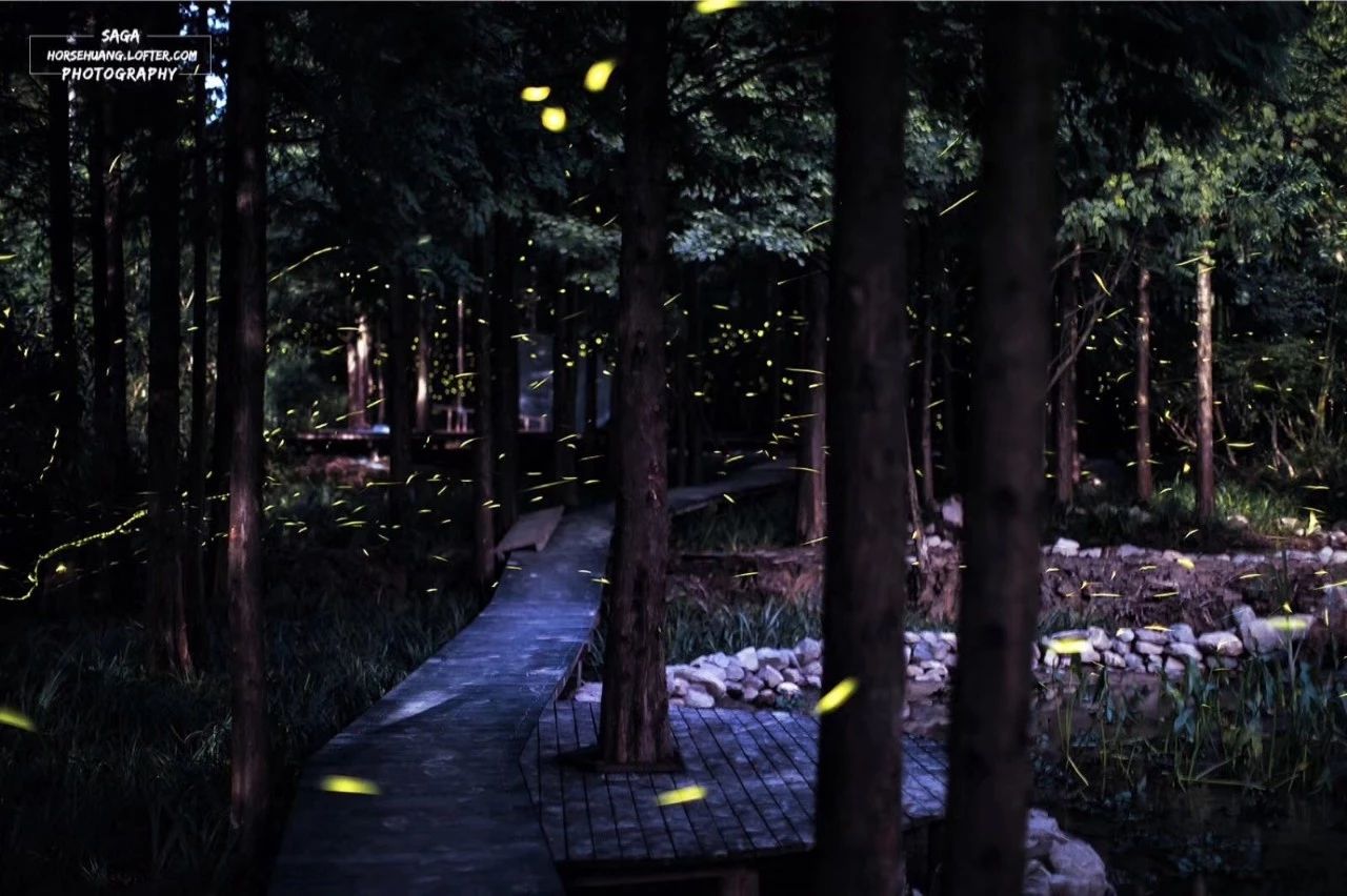 6家莫干山的新民宿，美出新境界