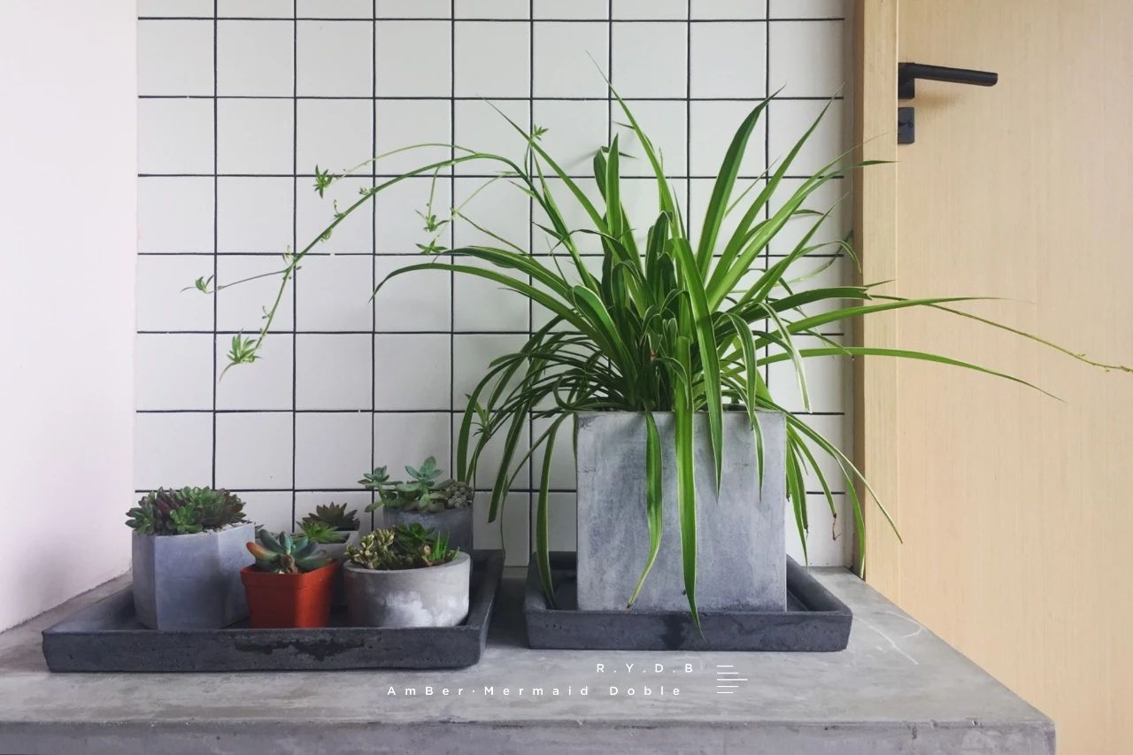 6家莫干山的新民宿，美出新境界