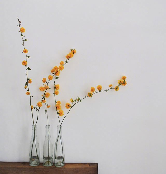 小清新插花藝術(shù)欣賞，生活如此美好