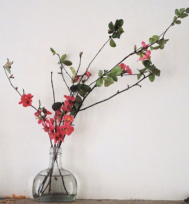 小清新插花藝術(shù)欣賞，生活如此美好