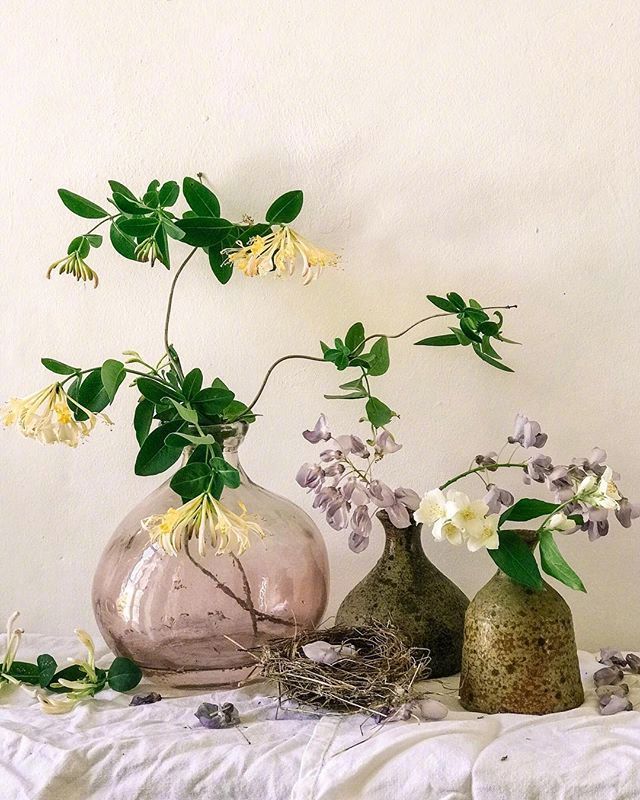 小清新插花藝術(shù)欣賞，生活如此美好