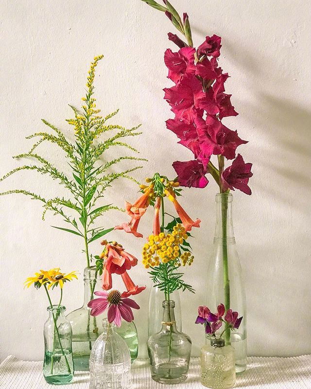 小清新插花藝術(shù)欣賞，生活如此美好