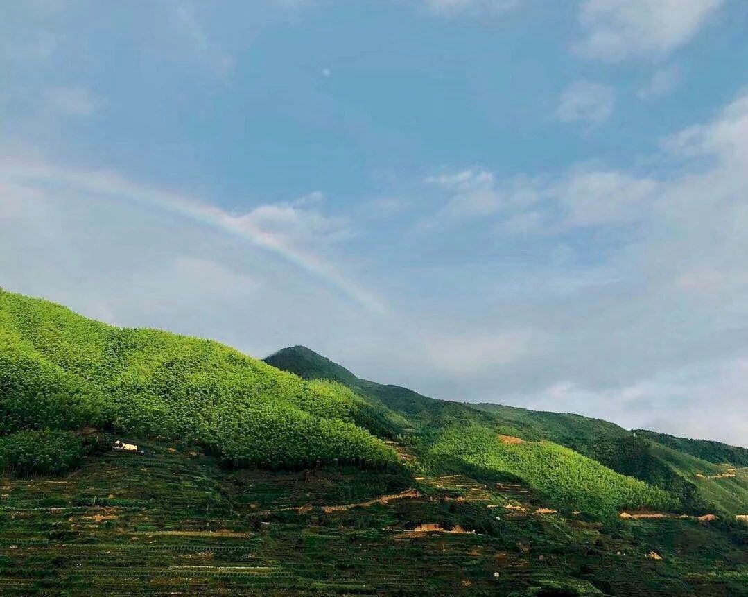 麗水遂昌|云逸遠(yuǎn)山，擁有超美的云海和銀河