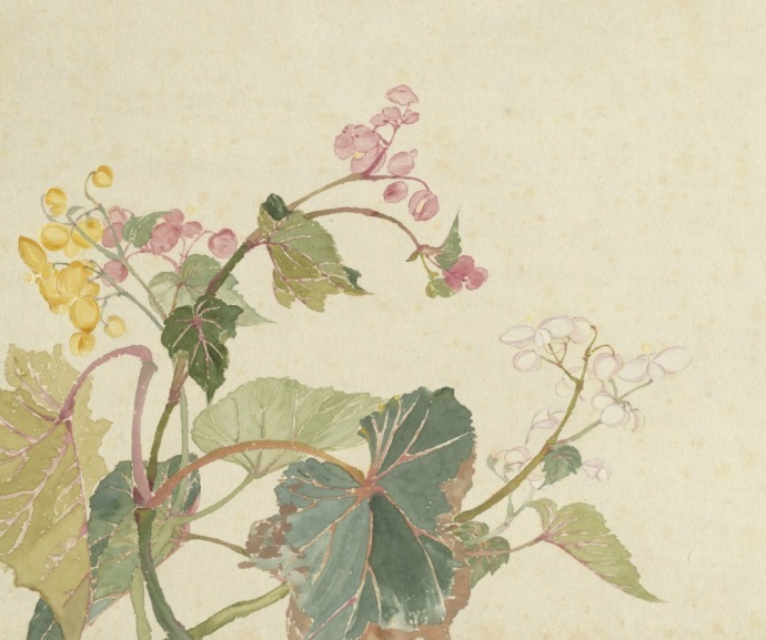 超美國(guó)畫圖集欣賞(52張)，高清國(guó)畫圖片賞析