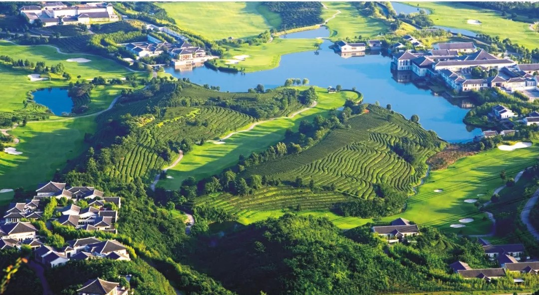 3家不錯的杭州民宿，度過最驚艷的時光