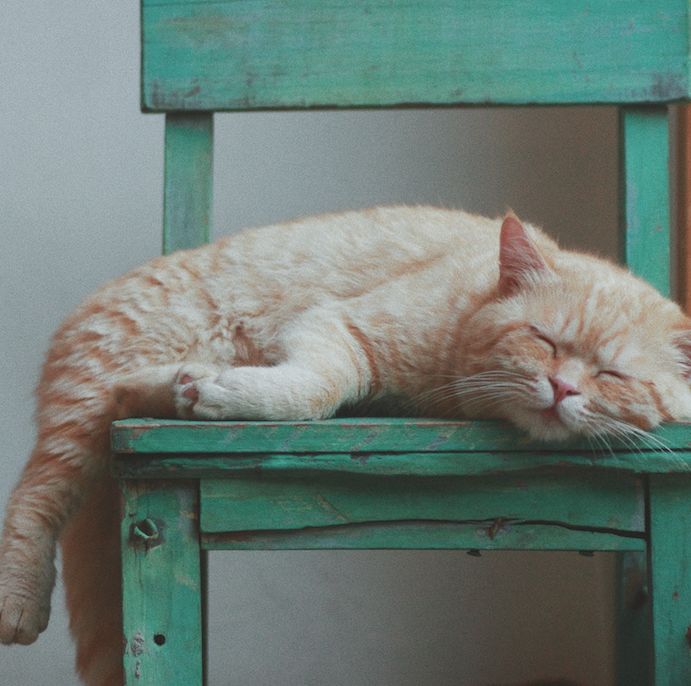 3家不錯的杭州民宿，度過最驚艷的時光