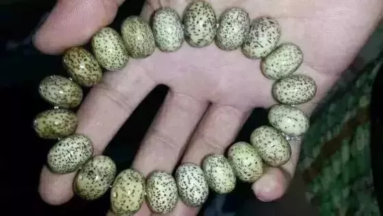 如何盤出包漿星月菩提？驚艷菩提包漿的全過程