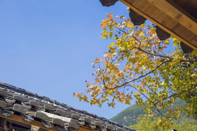 最美大山里的圖書(shū)館，感受美妙的讀書(shū)世界