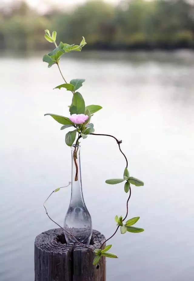超有意境的瓶花藝術(shù)，一組簡約中國瓶花藝術(shù)