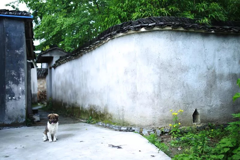 黃山·舊街墨野，浸染徽文化的地方