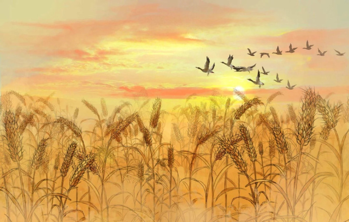 花香滿溢的古風(fēng)圖片，春天意境的唯美古風(fēng)圖片