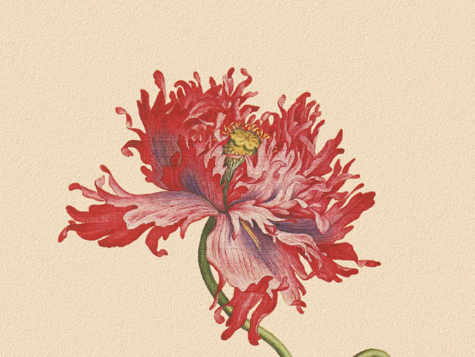 郎世寧的工筆畫欣賞，品味國(guó)畫藝術(shù)的古典之美