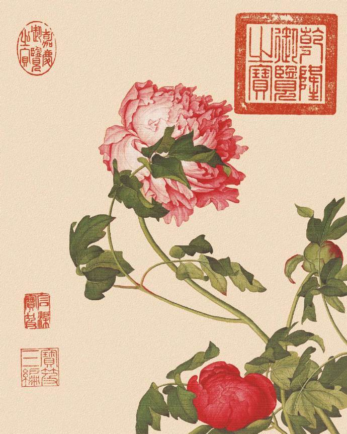 郎世寧的工筆畫欣賞，品味國(guó)畫藝術(shù)的古典之美