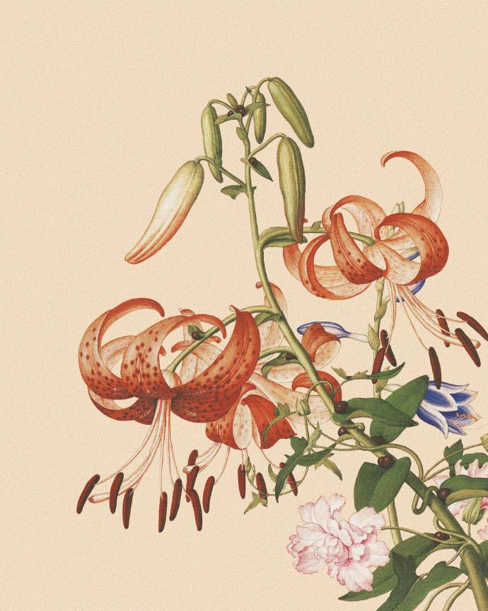 郎世寧的工筆畫欣賞，品味國(guó)畫藝術(shù)的古典之美