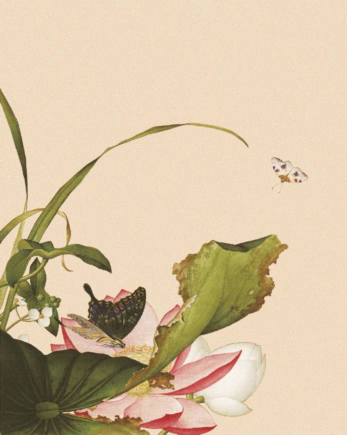 郎世寧的工筆畫欣賞，品味國(guó)畫藝術(shù)的古典之美