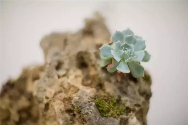 麗江新中式風格民宿，麗水云邊