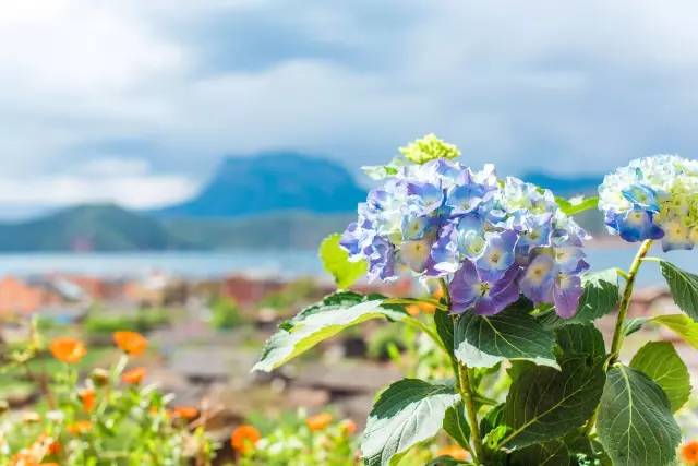 瀘沽湖新中式風格民宿，等風·半山