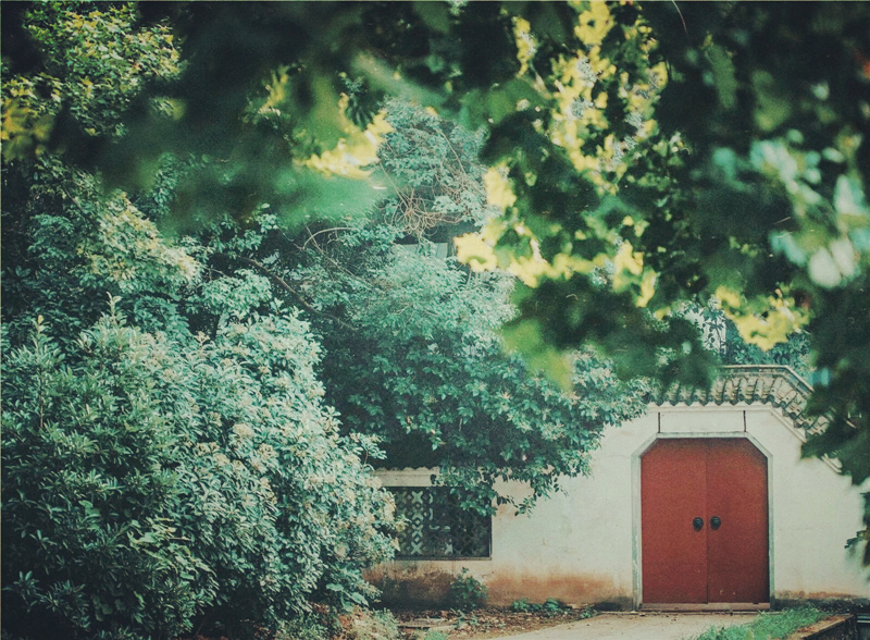 夏日樹蔭風(fēng)景攝影