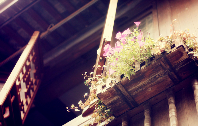 古建筑裝飾之美，花窗（2）