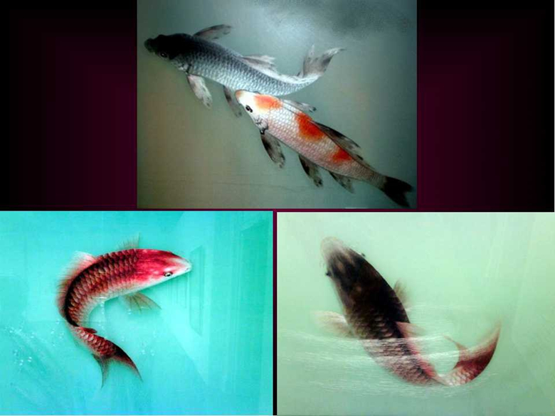 “蘇繡皇后”姚建萍，作品欣賞