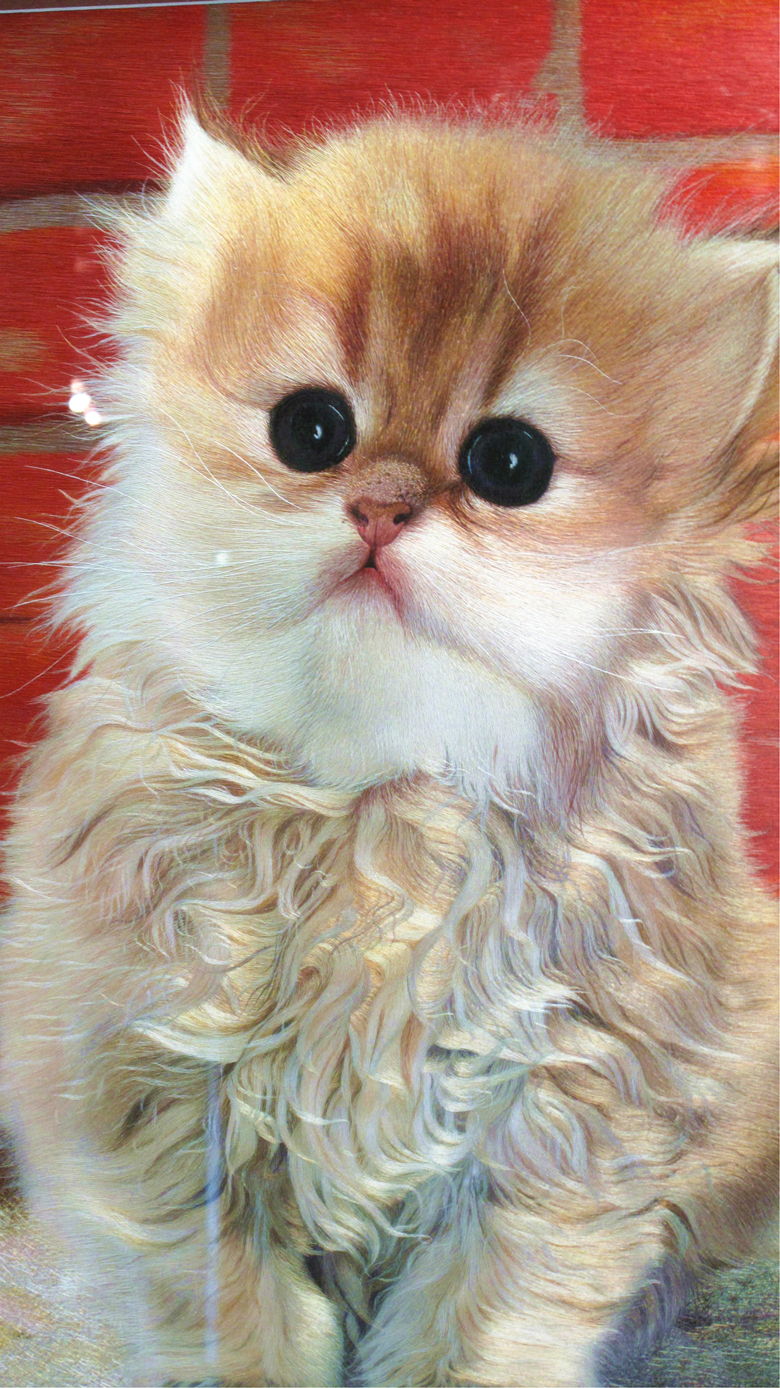 “蘇繡皇后”姚建萍，作品欣賞