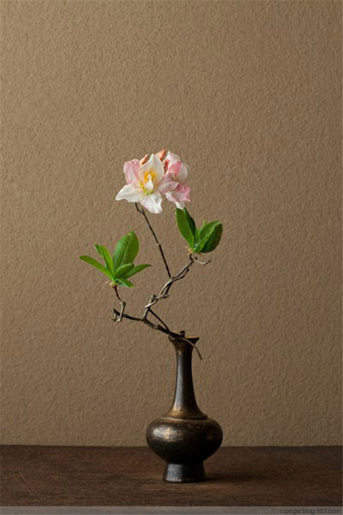 中式插花藝術欣賞