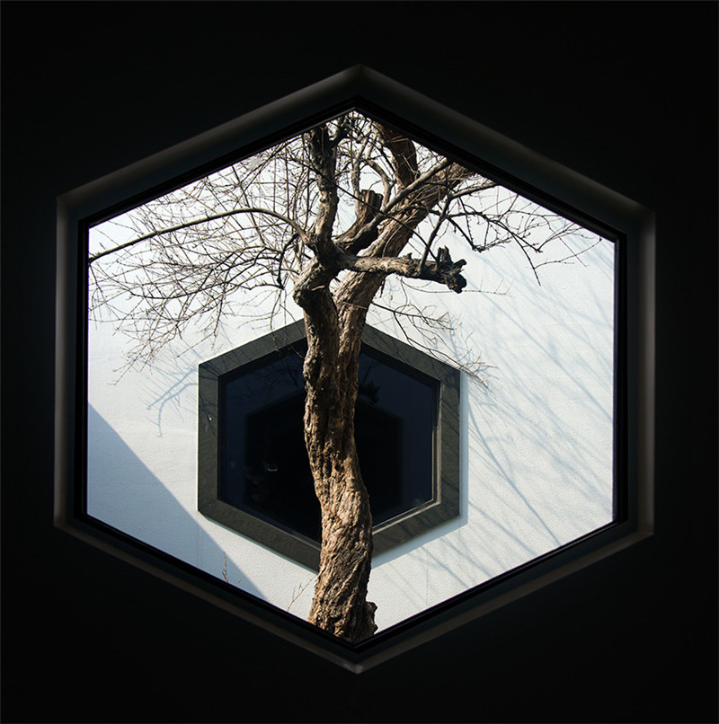 蘇州博物館，空間與園林的完美結合