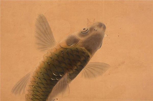 中國(guó)國(guó)畫(huà)錦鯉欣賞