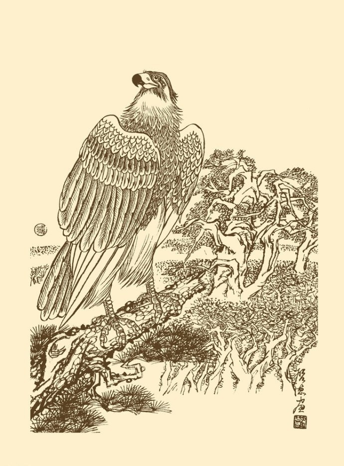 梁啟德雄鷹白描作品欣賞