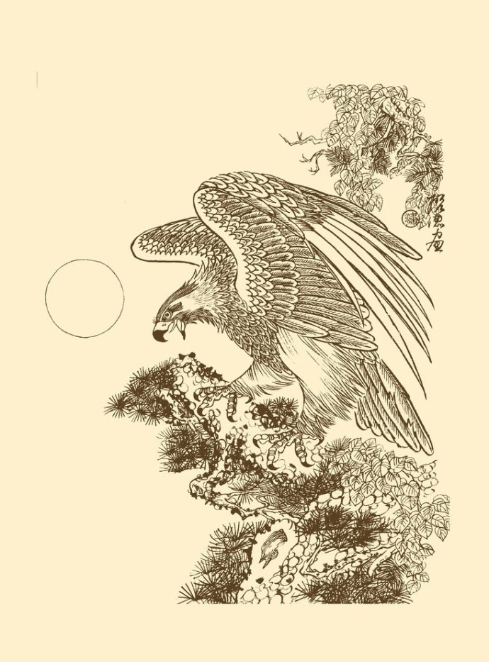 梁啟德精美雄鷹白描作品