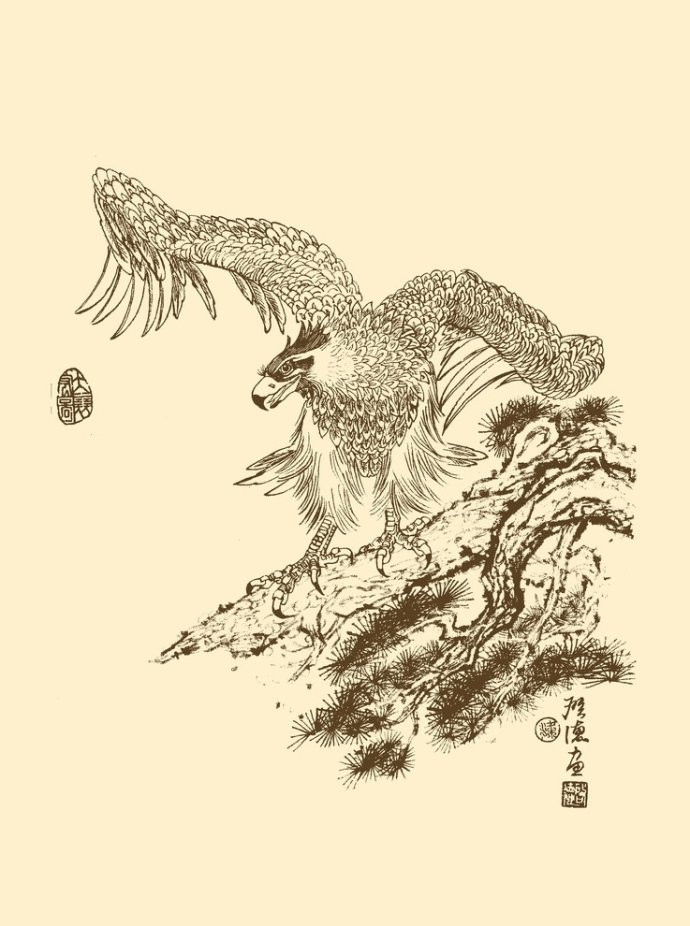 梁啟德精美雄鷹白描作品