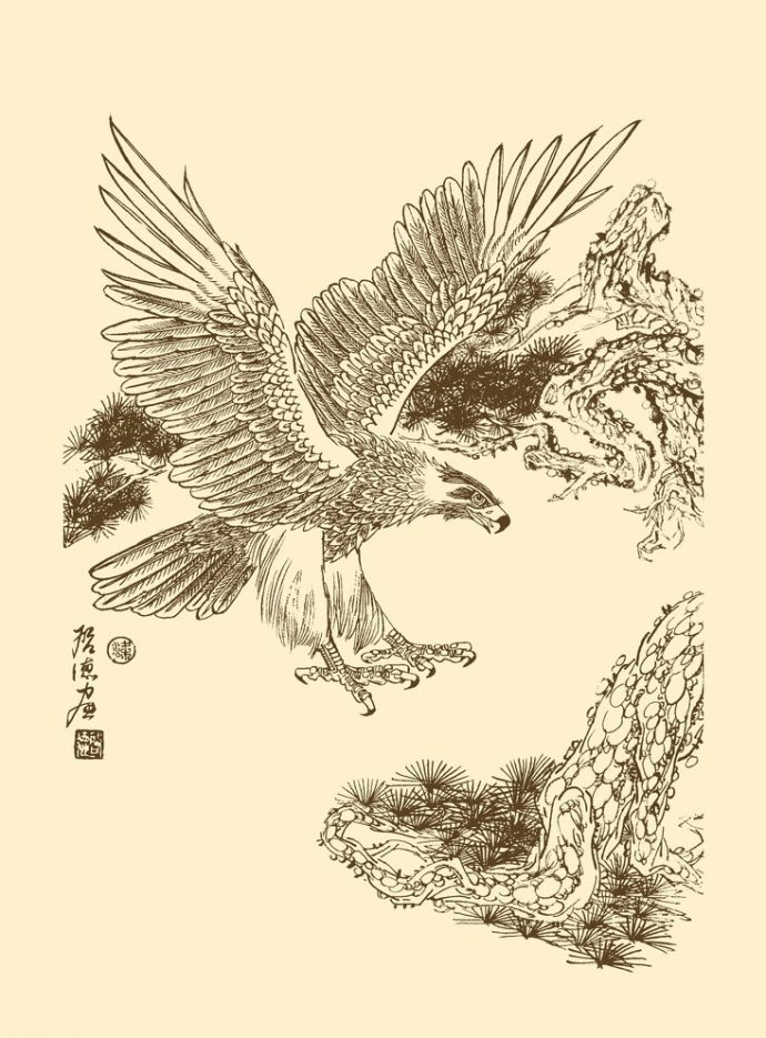 梁啟德精美雄鷹白描作品