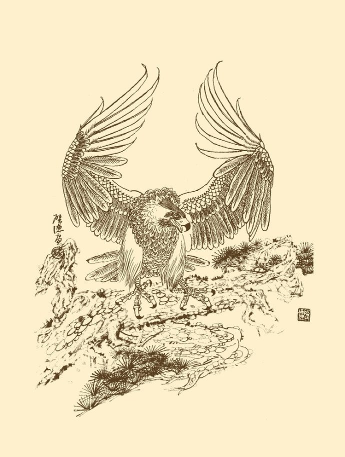 梁啟德精美雄鷹白描作品