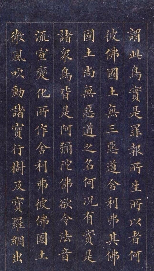 林則徐楷書《無(wú)量壽經(jīng)》欣賞
