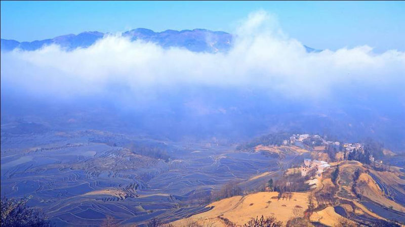 藍色的元陽梯田風光攝影