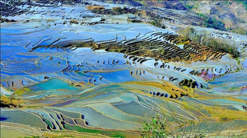 藍色的元陽梯田風光攝影