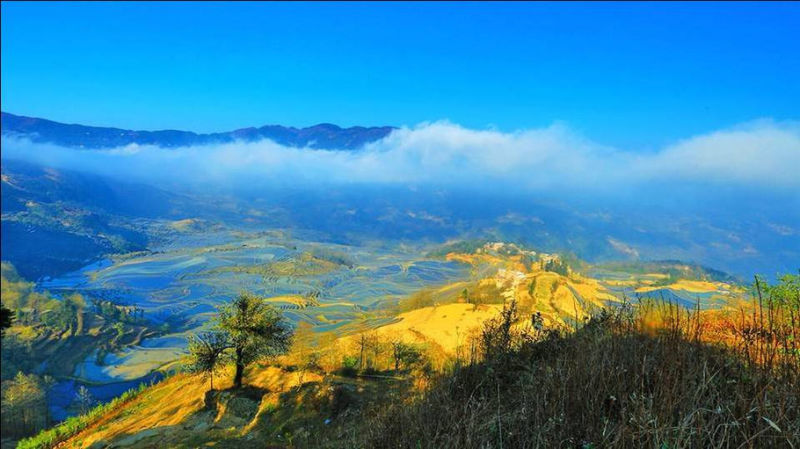 藍色的元陽梯田風光攝影