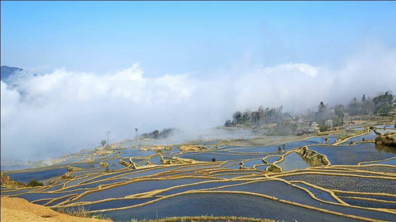 藍(lán)色的元陽梯田風(fēng)光攝影
